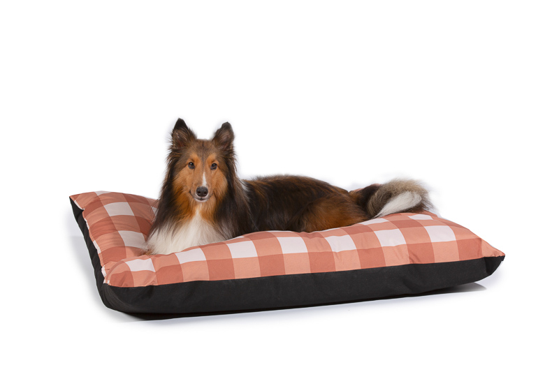 stay_pet_bedding collie on dog bed