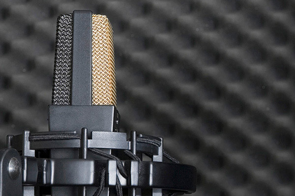 carpenter_acoustic_recording microphone
