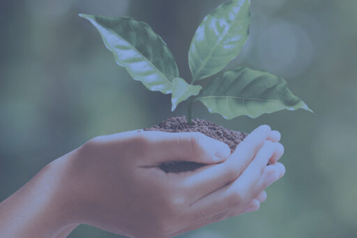 Naturalis<sup>®</sup> Foam featured image